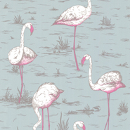 Flamingos (66-6044)